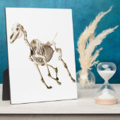 Running Horse Skeleton Fotoplatte (Seite)
