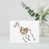 Running Horse Skeleton Postkarte (Stehend Vorderseite)