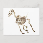 Running Horse Skeleton Postkarte (Vorderseite)