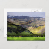 Running Horses Island Postkarte (Vorne/Hinten)