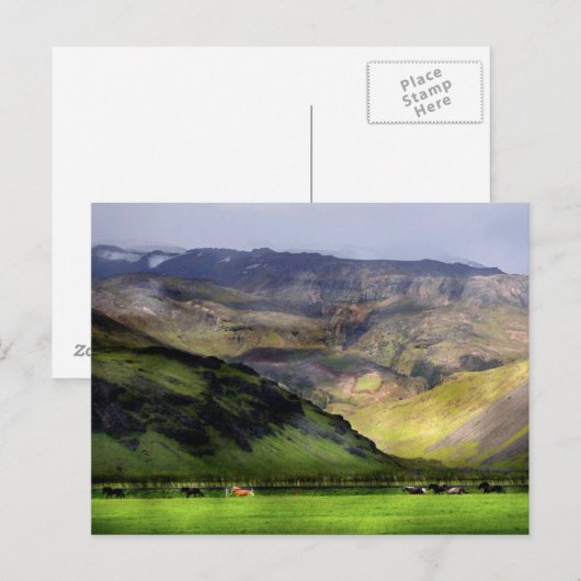 Running Horses Island Postkarte (Vorne/Hinten)