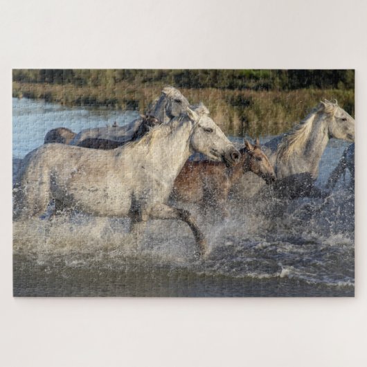 Running Horses Puzzle (Horizontal)