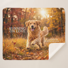 Running on Joy Golden Retriever Sherpadecke