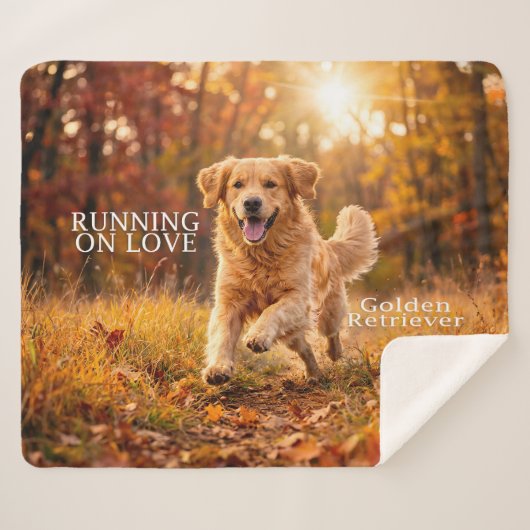 Running on Joy Golden Retriever Sherpadecke (Vorderseite (Horizontal))