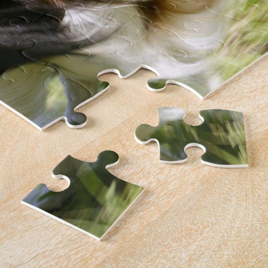 Running Papillon Puzzle (Seite)