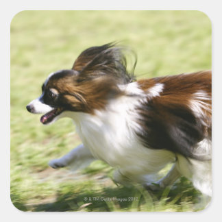Running Papillon Quadratischer Aufkleber