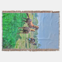 Running Pinto Paint Gelding & Kastanienbälle