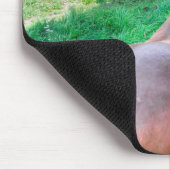 Running Pinto Paint Gelding & Kastanienbälle Mousepad (Ecke)
