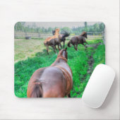 Running Pinto Paint Gelding & Kastanienbälle Mousepad (Mit Mouse)