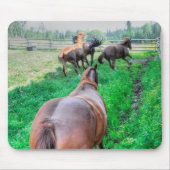 Running Pinto Paint Gelding & Kastanienbälle Mousepad (Vorne)