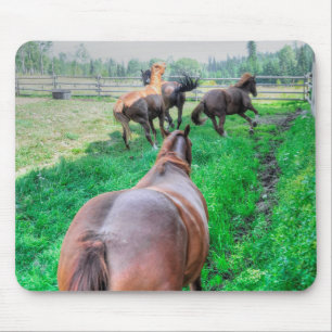 Running Pinto Paint Gelding & Kastanienbälle Mousepad