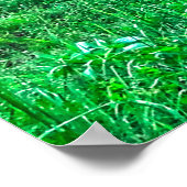 Running Pinto Paint Gelding & Kastanienbälle Poster (Ecke)