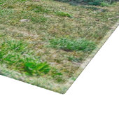 Running Pinto Paint Gelding & Kastanienbälle Schneidebrett (Ecke)