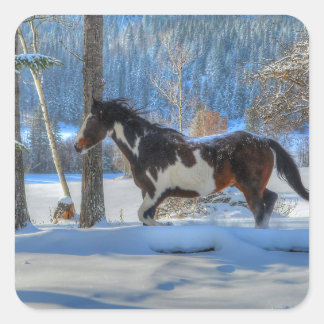 Running Pinto Paint Hallion im Winter Snows Foto Quadratischer Aufkleber