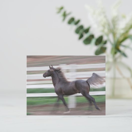 Running Proud Postkarte (Stehend Vorderseite)