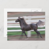 Running Proud Postkarte (Vorne/Hinten)