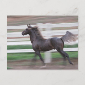 Running Proud Postkarte