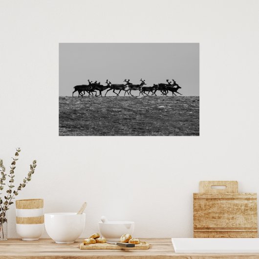 Running Rentier Poster (Küche)