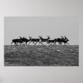 Running Rentier Poster (Vorne)