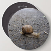 Running Snail Button (Vorne & Hinten)