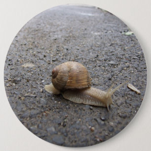 Running Snail Button