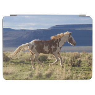 Running Stallion, Steens Mountains, Oregon iPad Air Hülle