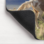 Running Stallion, Steens Mountains, Oregon Mousepad (Ecke)