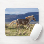 Running Stallion, Steens Mountains, Oregon Mousepad (Mit Mouse)