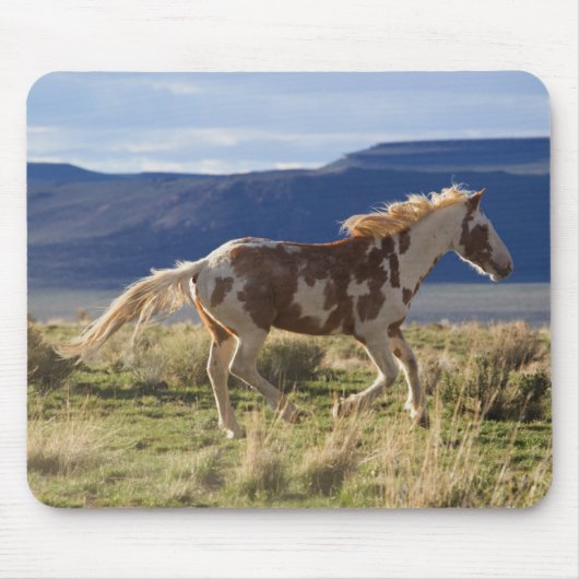Running Stallion, Steens Mountains, Oregon Mousepad (Vorne)