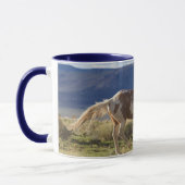 Running Stallion, Steens Mountains, Oregon Tasse (Links)
