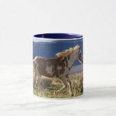 Running Stallion, Steens Mountains, Oregon Tasse (Zentrum)