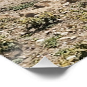 Running the Serengeti Poster (Ecke)