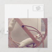 Running Wheel Mäuse Postkarte (Vorne/Hinten)