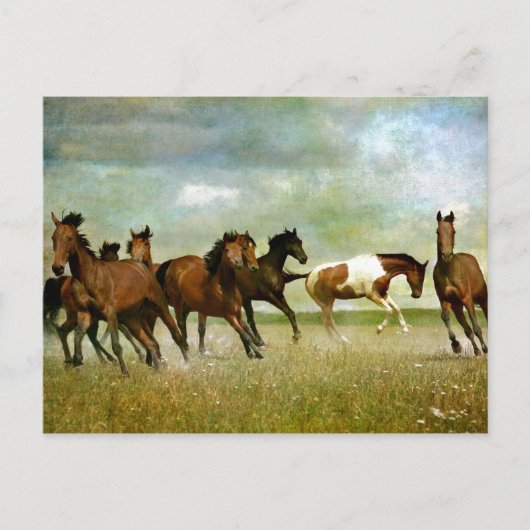 Running Wild Horses - Vintage kreative Kunst Postkarte (Vorderseite)