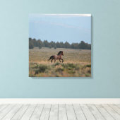 Running Wild Roan Leinwanddruck (Insitu (Holzboden))