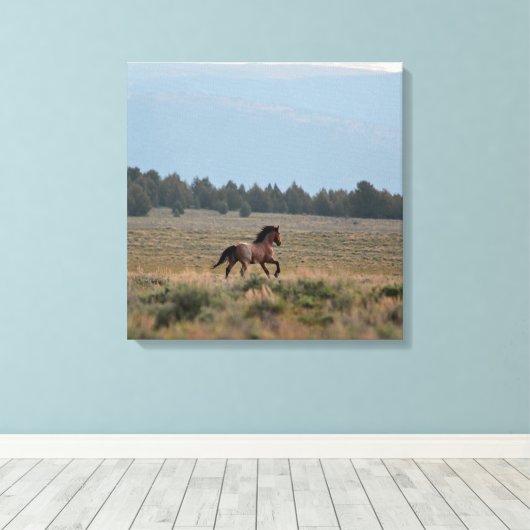 Running Wild Roan Leinwanddruck (Insitu (Holzboden))