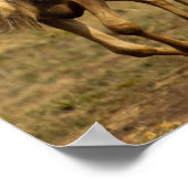 Running Wildebeest Poster (Ecke)