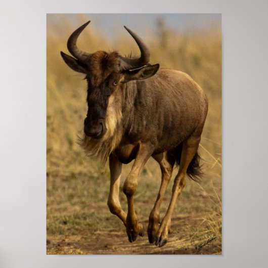 Running Wildebeest Poster (Vorne)