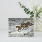 Running Wolf Pack Postkarte (Stehend Vorderseite)