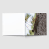 Runter-Eichhörnchen Gästebuch (Voll)