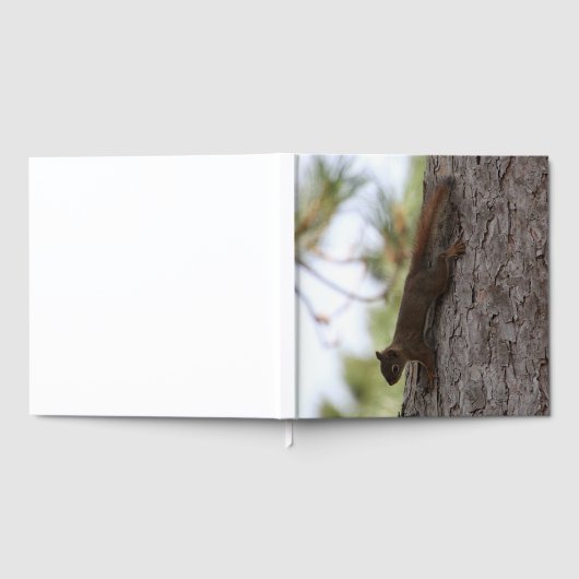 Runter-Eichhörnchen Gästebuch (Voll)