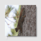 Runter-Eichhörnchen Gästebuch (Vorderseite)