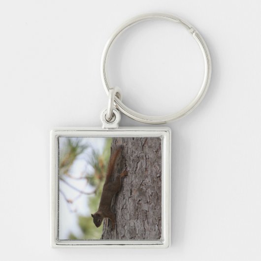Runter-Eichhörnchen Schlüsselanhänger (Vorne)