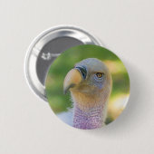 Rupells Griffon-Vulture Button (Vorne & Hinten)
