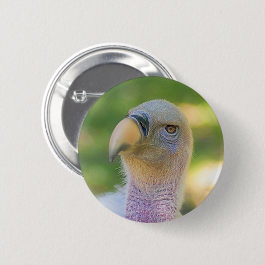 Rupells Griffon-Vulture Button (Vorne & Hinten)