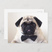 Rupert den Mops Postcard Postkarte (Vorne/Hinten)