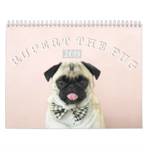 Rupert der Wandkalender des Mops-2019