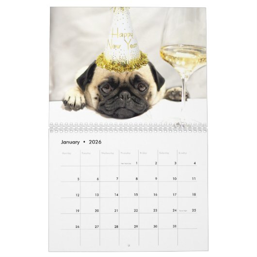 Rupert der Wandkalender des Mops-2019 (Jan 2026)