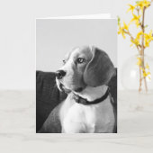 Rupert die Beagle-Dog-Blank-Grüße-Karte. Karte (Gelbe Blume)