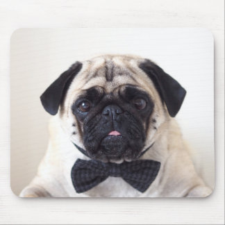 Rupert die Mops-Mäusematte Mousepad